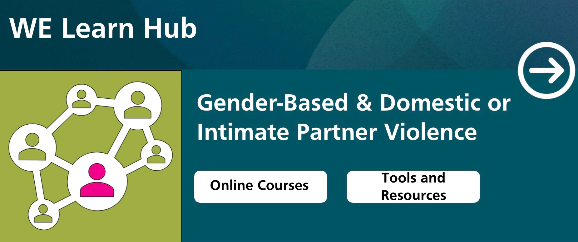 Domestic or Intimate Partner Violence in Clinical Practice