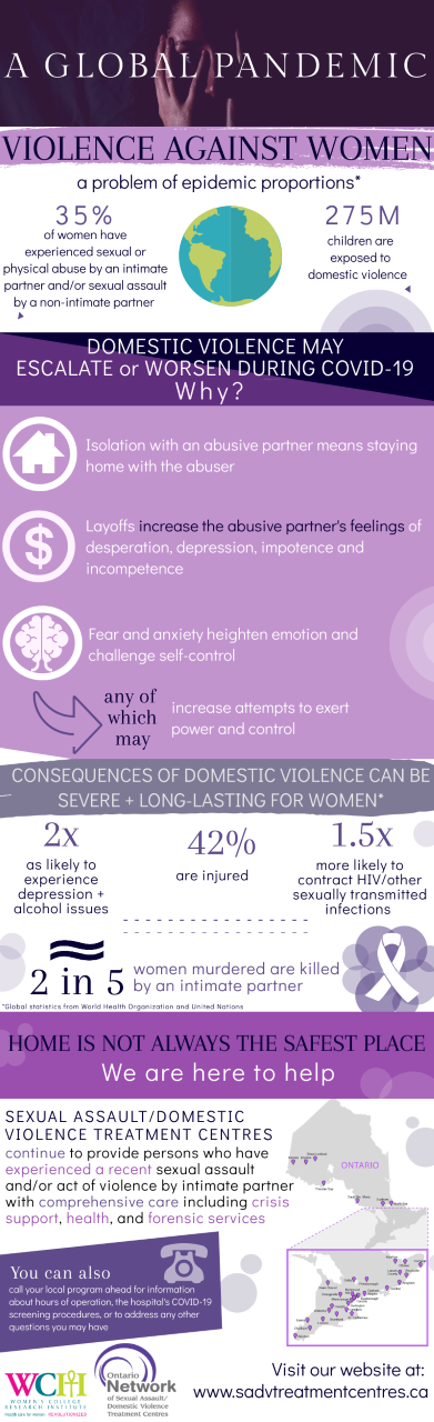 Supporting domestic violence survivors during a Pandemic
